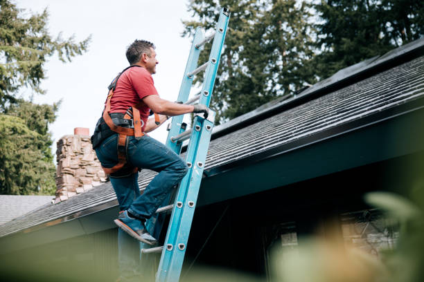 Best Roof Moss and Algae Removal  in Wanamingo, MN